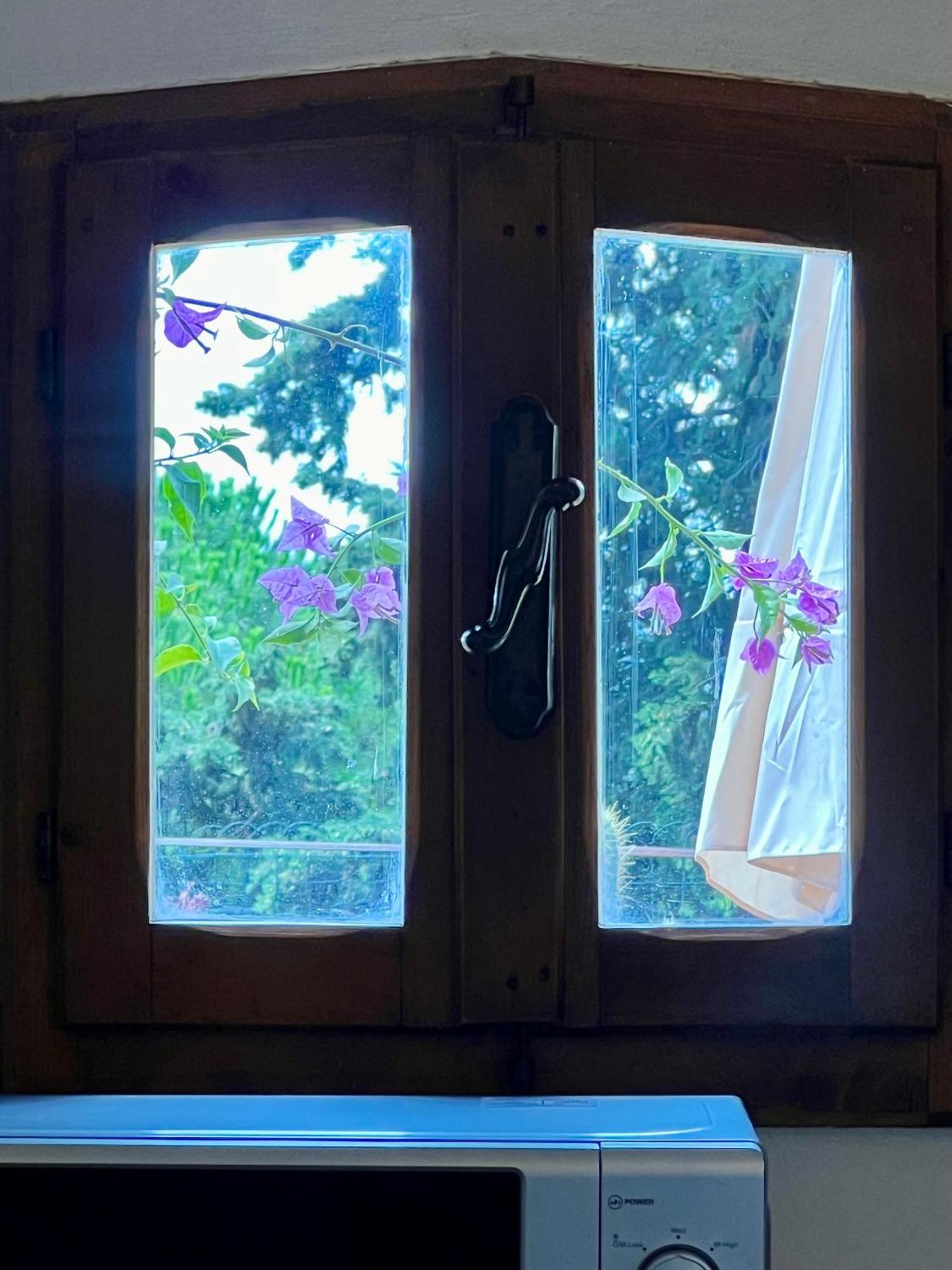 Le Viole Apartment *